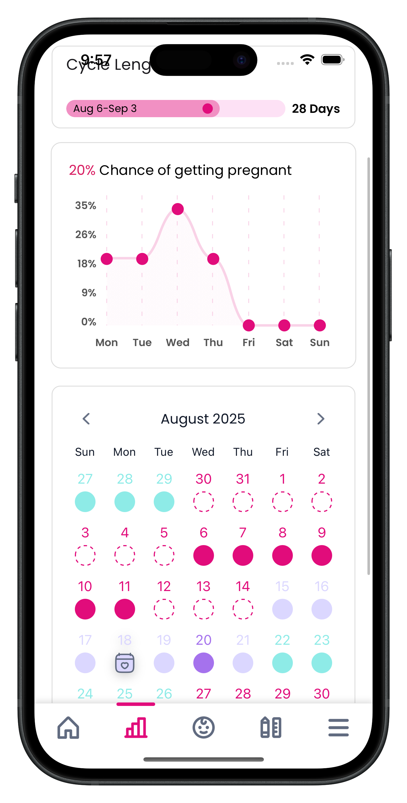 Reminder Setup Form